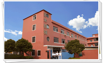 多米機械:改變世界新動力，革新行業新格局